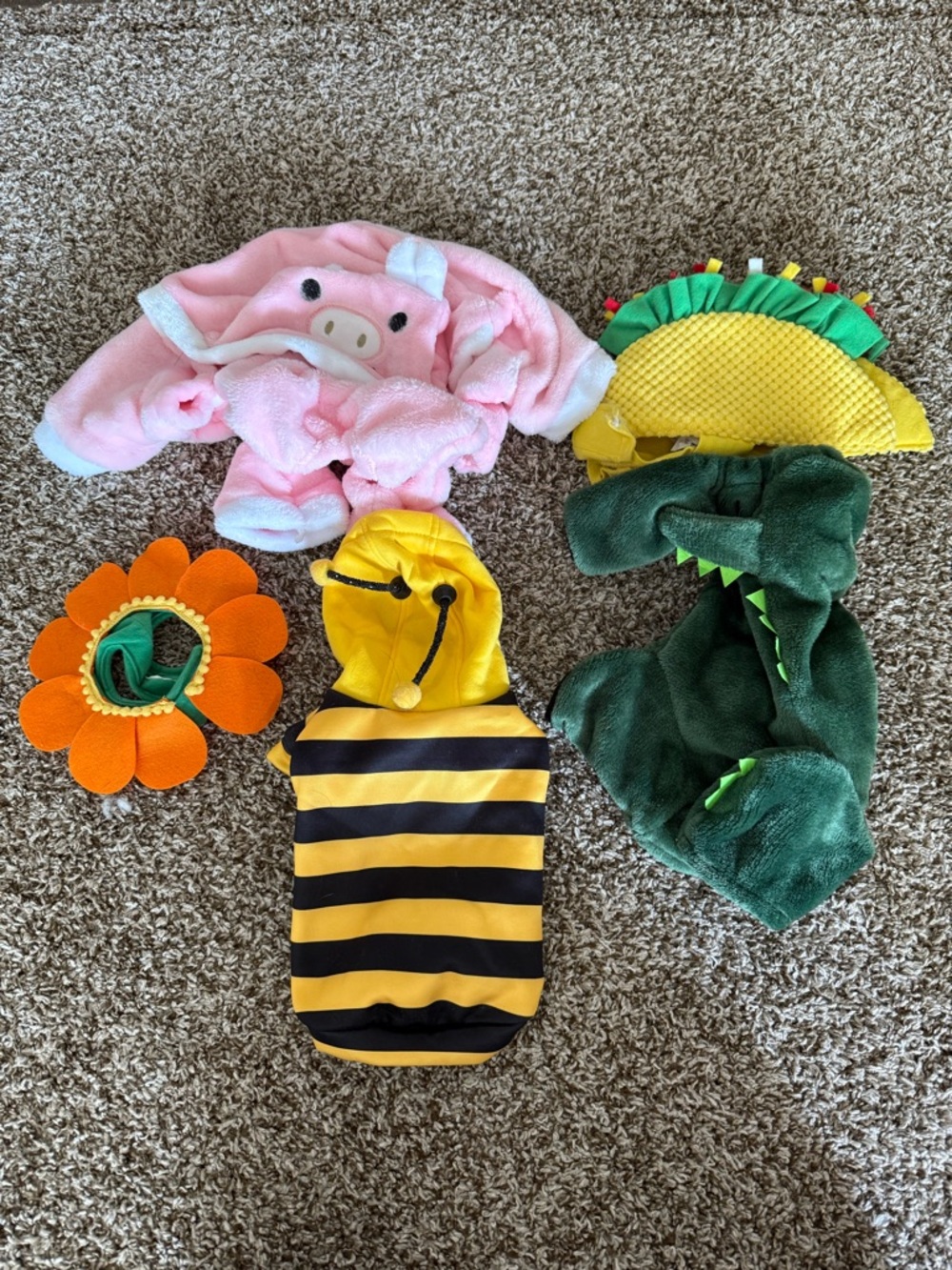 Cat costumes